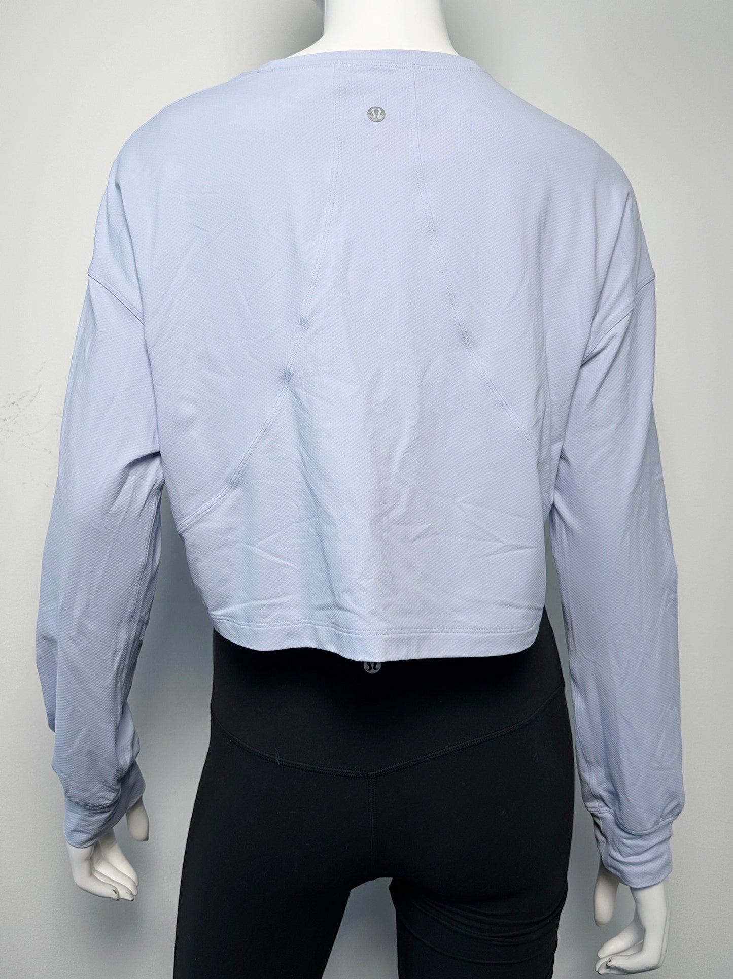 Long Sleeve Crop Top Size 6