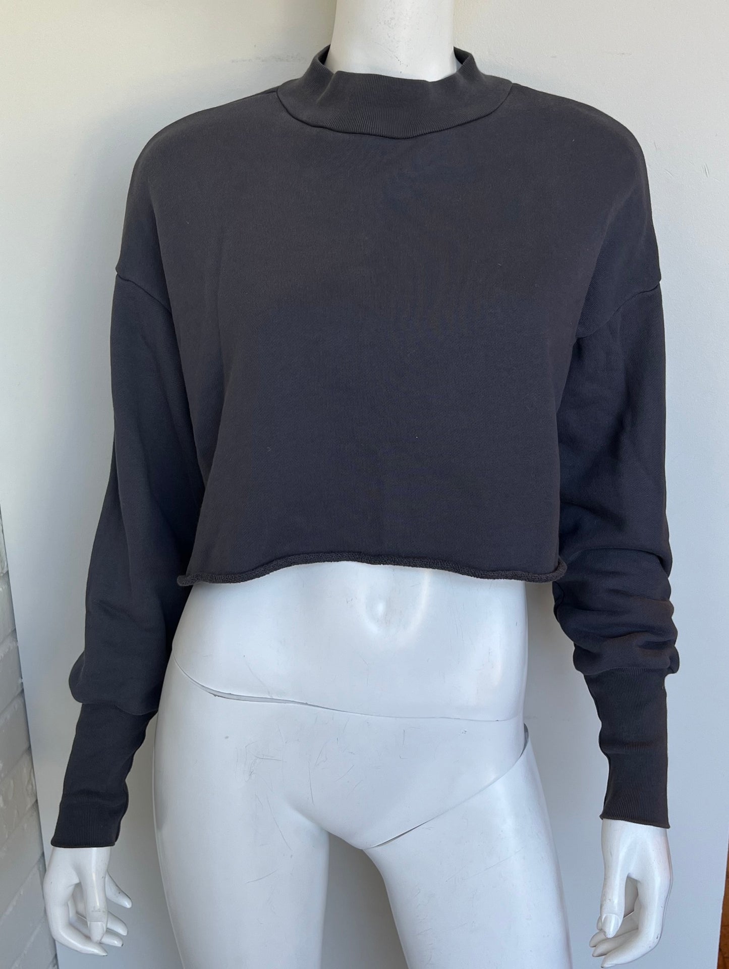 Cropped Sweatshirt Size Small