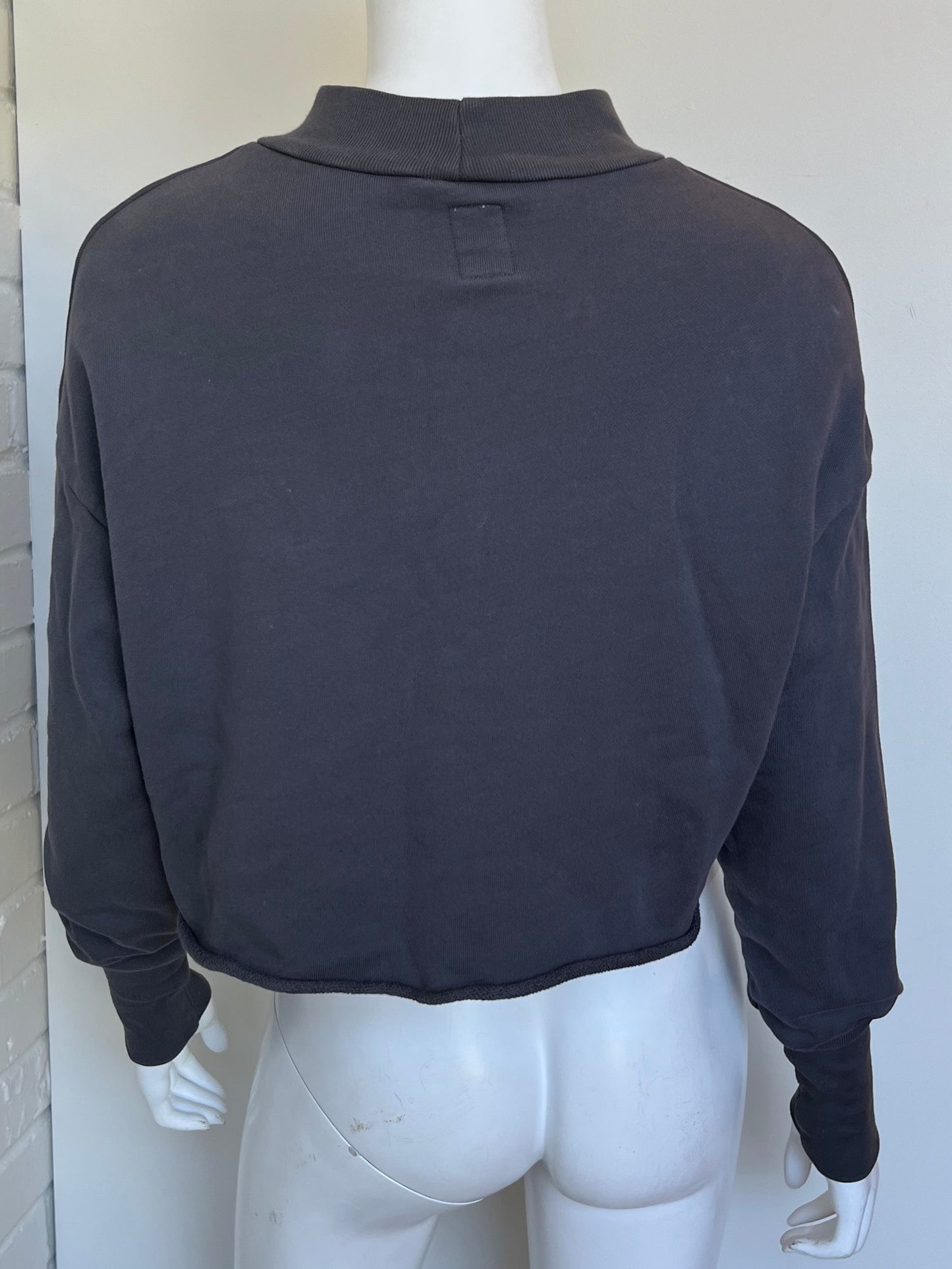 Cropped Sweatshirt Size Small